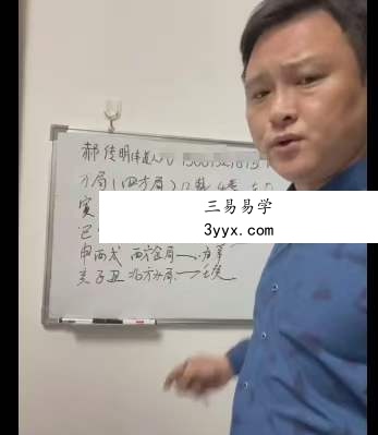 郝传明-山西盲派丰道人学员命例地支合、干支冲视频8集 资料图片