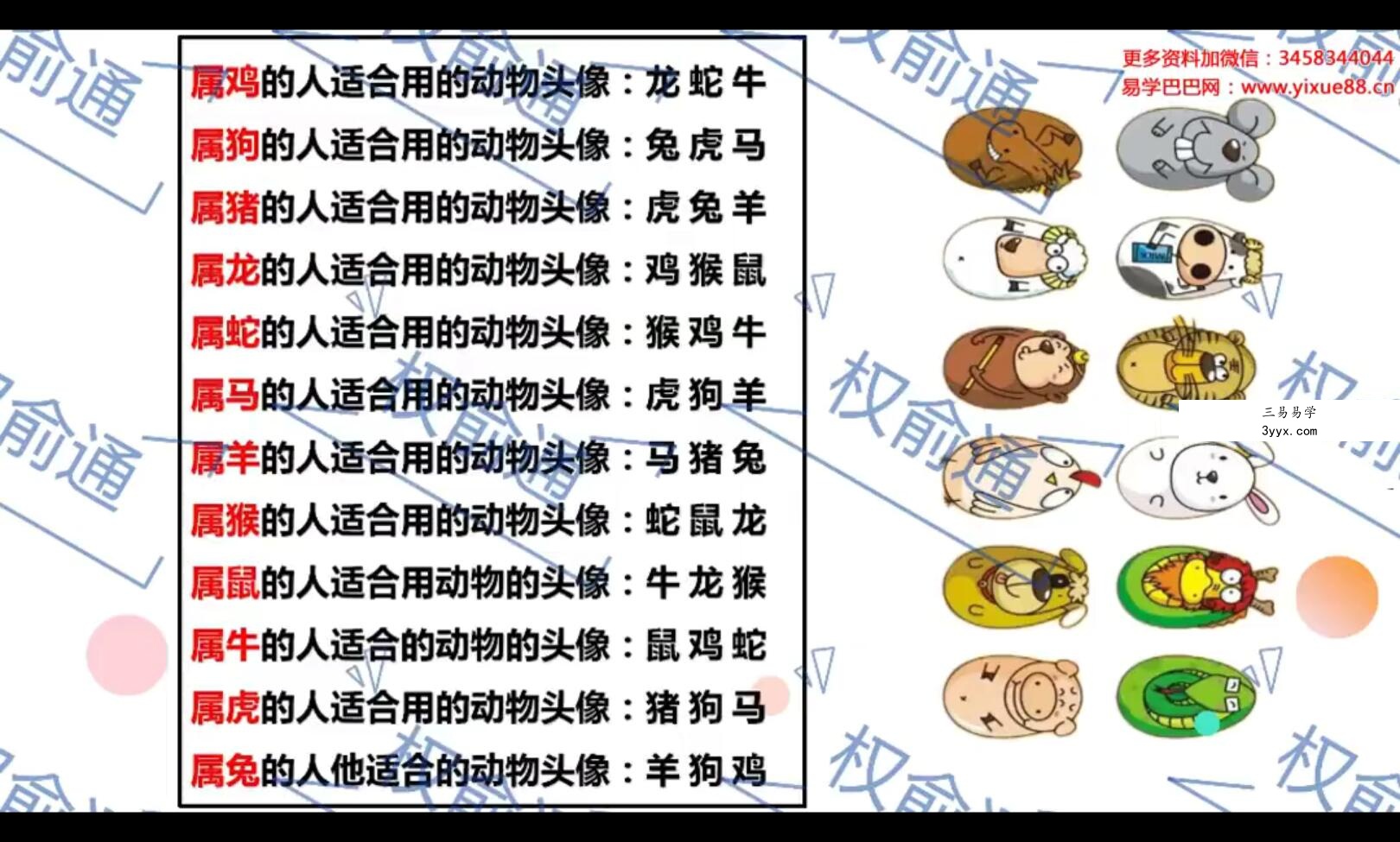权俞通旺运微信头像高级班 8集 资料图片