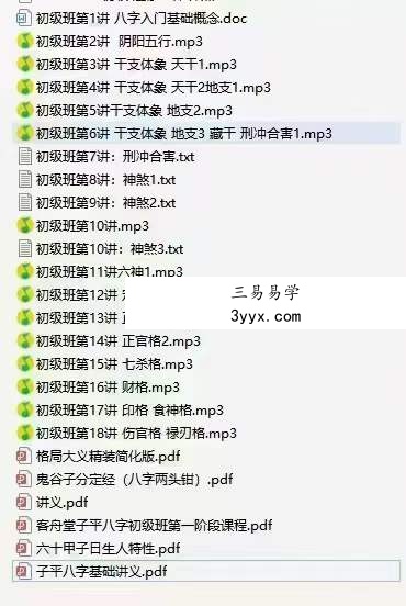 客舟堂子平命理初级录音文档+中级录音文档 资料图片