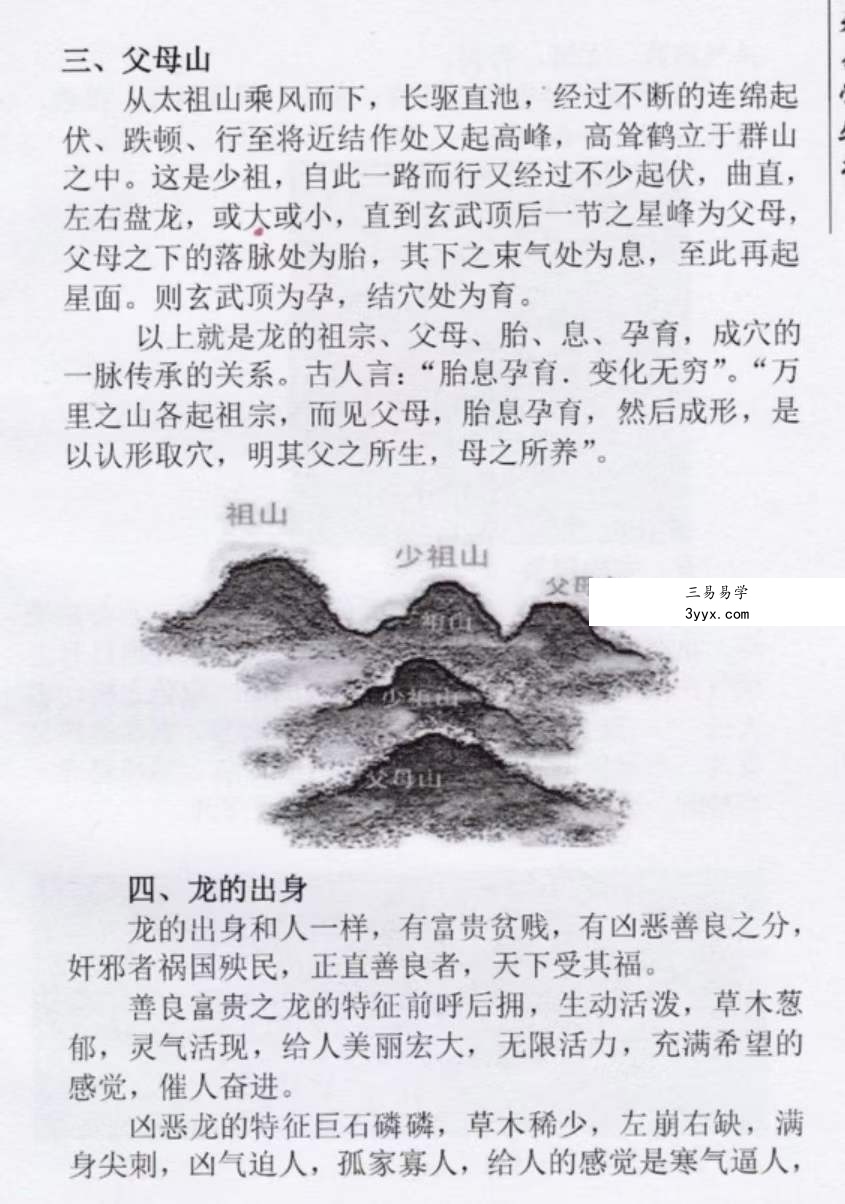 张永红中天风水密踪 资料图片