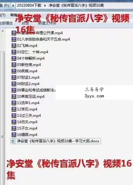 净安堂《秘传盲派八字》视频16集 资料图片