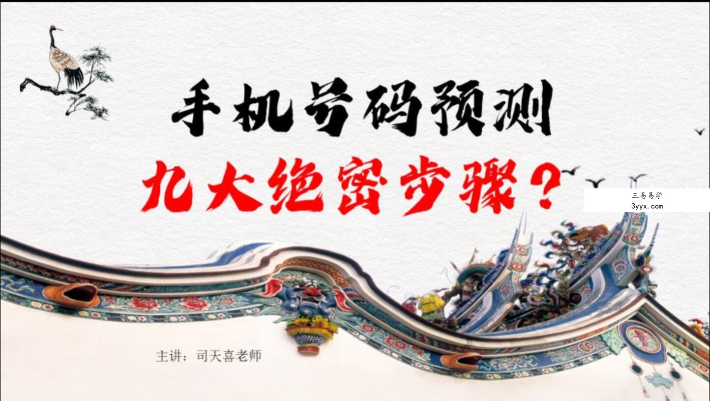 司天喜《数字能量:九阳神功》 资料图片