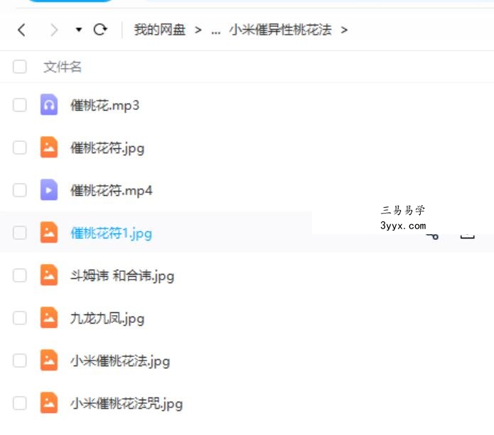 仲文天医坛 敏真道长鲁东【茅山秘术小米道法】二期讲课短视频+录音+文档+图片 夸克网盘下载 资料图片