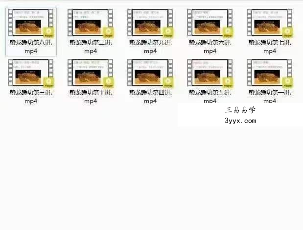 郭和仁《蛰龙睡功》视频10集 资料图片