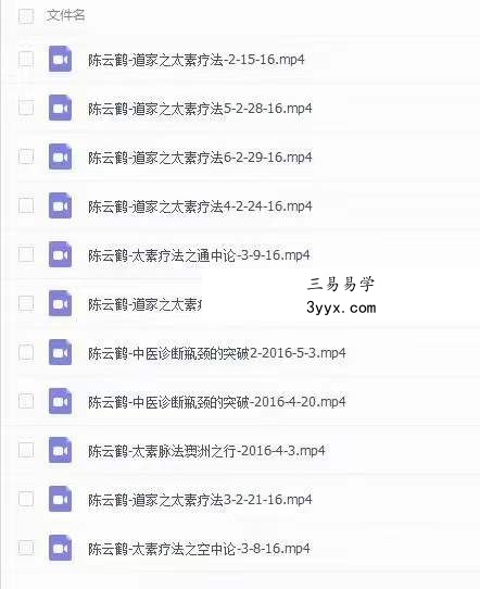 陈云鹤道家之太素疗法2016年讲课视频11集 资料图片