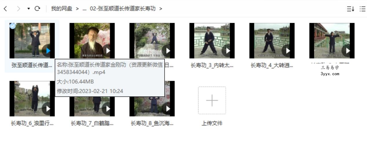 张至顺长寿八部金刚功视频 资料图片