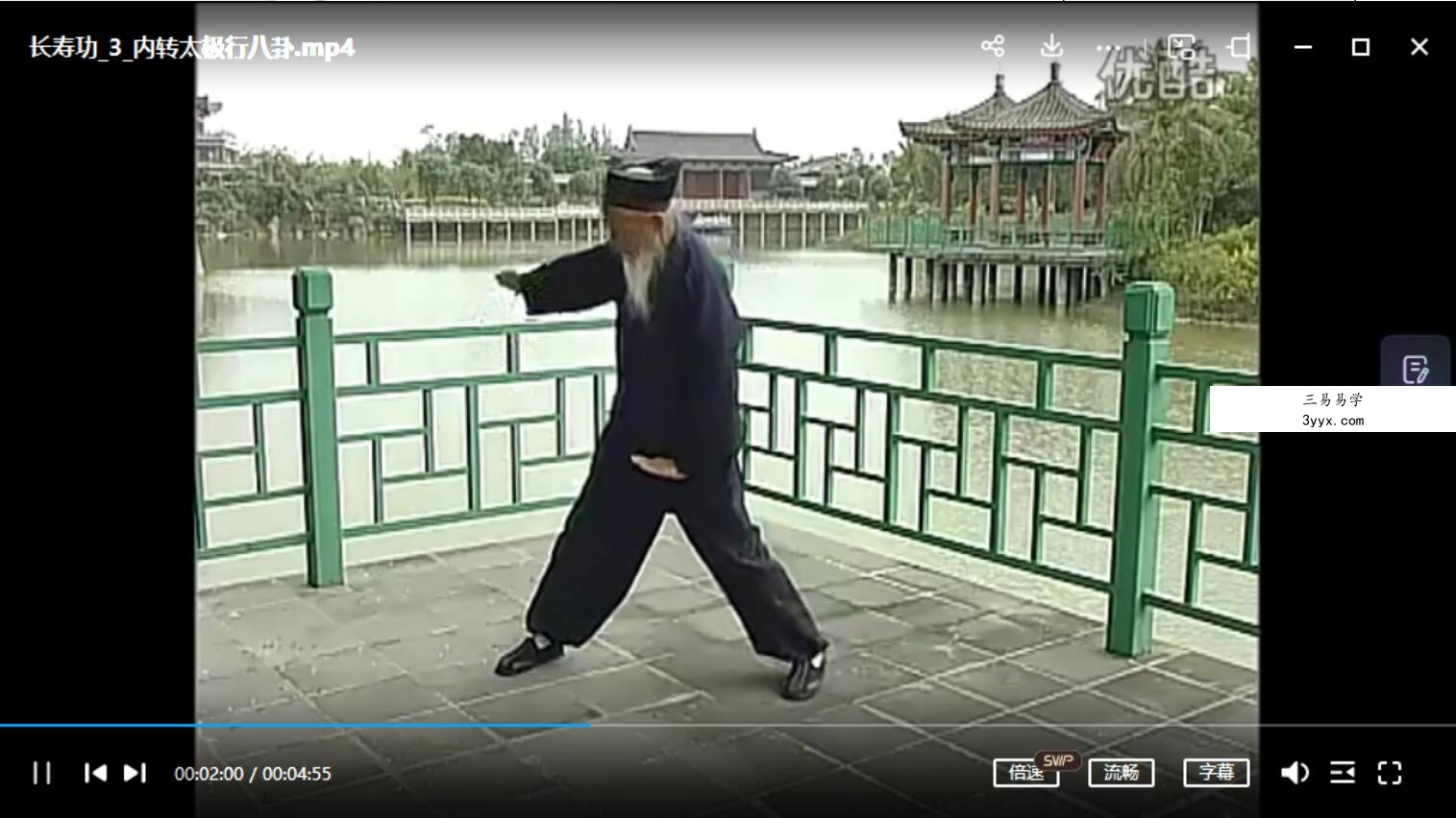 张至顺长寿八部金刚功视频 资料图片