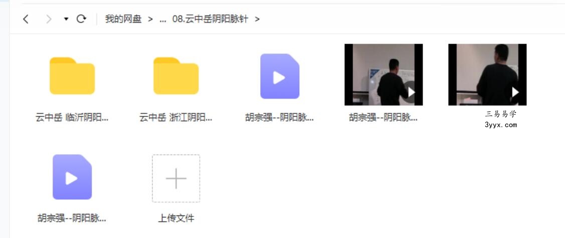 祝华英道长-灵枢脉针揭秘十二经脉的秘密 资料图片
