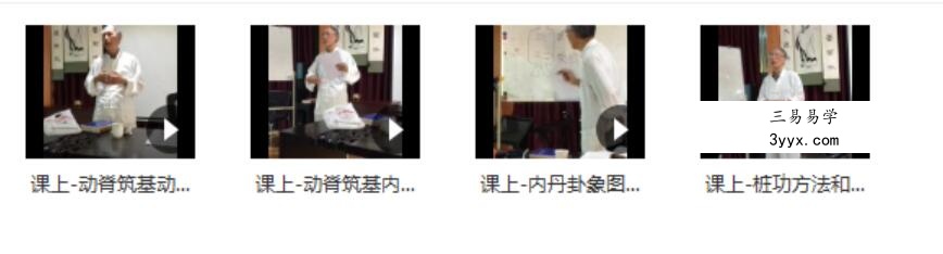伍柳动脊筑基及丹道 夸克网盘下载 资料图片