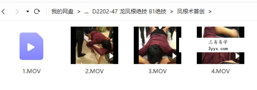 龙凤根绝技 81绝技 资料图片