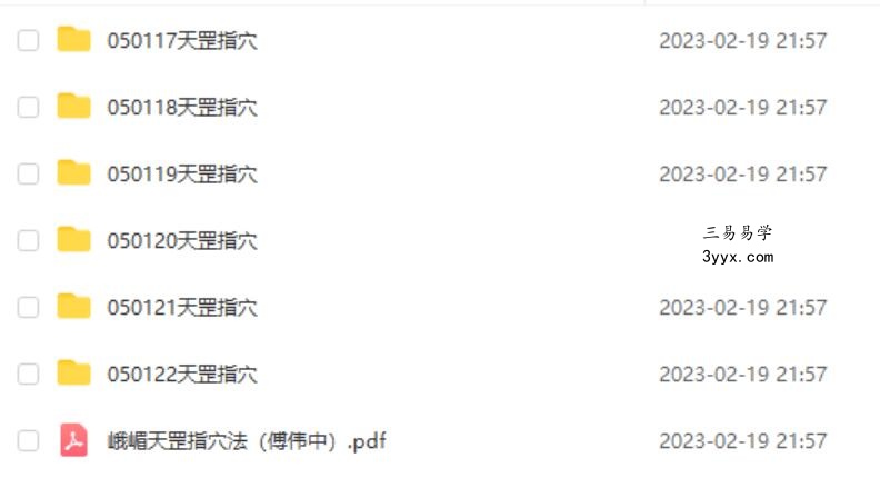 傅伟中峨嵋天罡指穴法视频演示全集 夸克网盘下载 资料图片