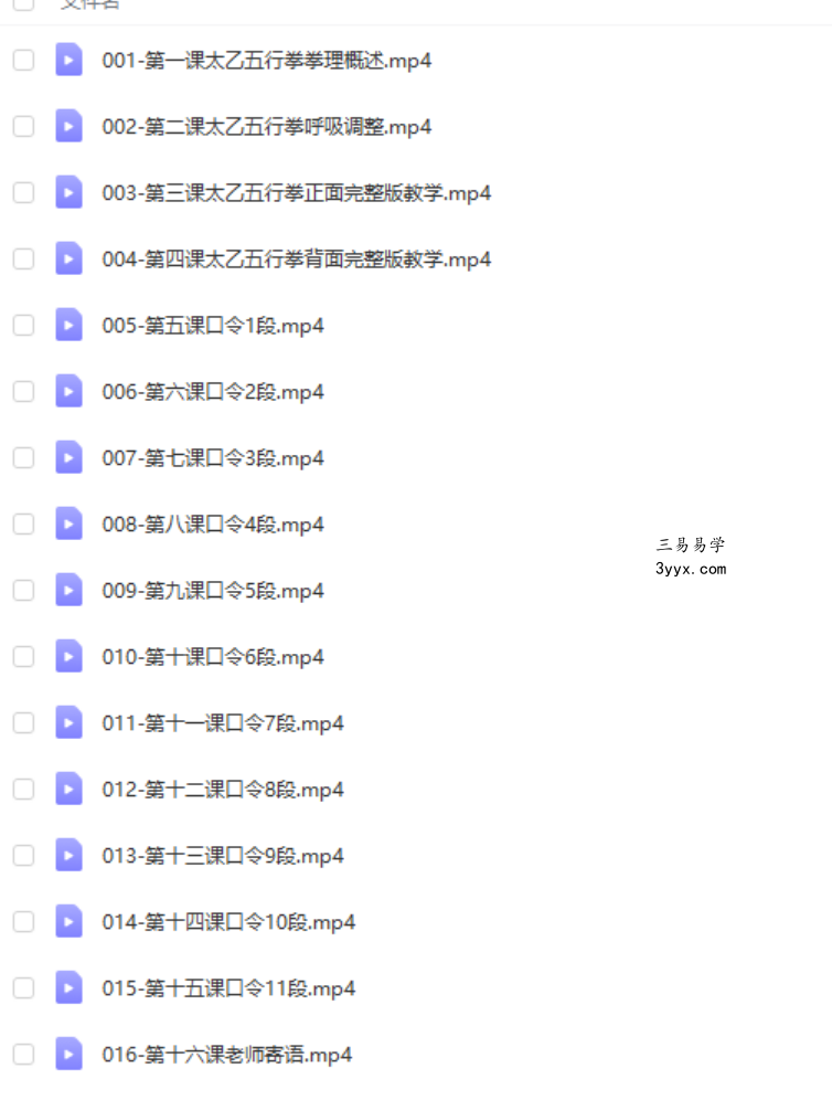 长安师智-武当太乙五行拳详细版课程16课时 资料图片