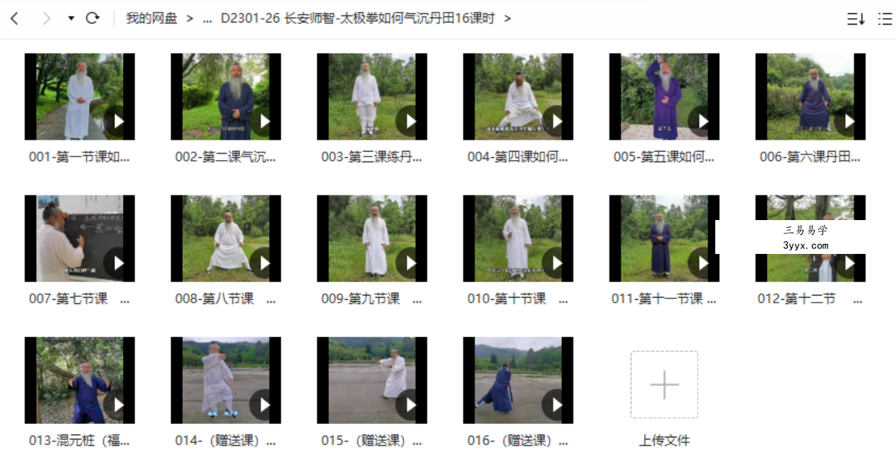 长安师智-太极拳如何气沉丹田16课时 资料图片