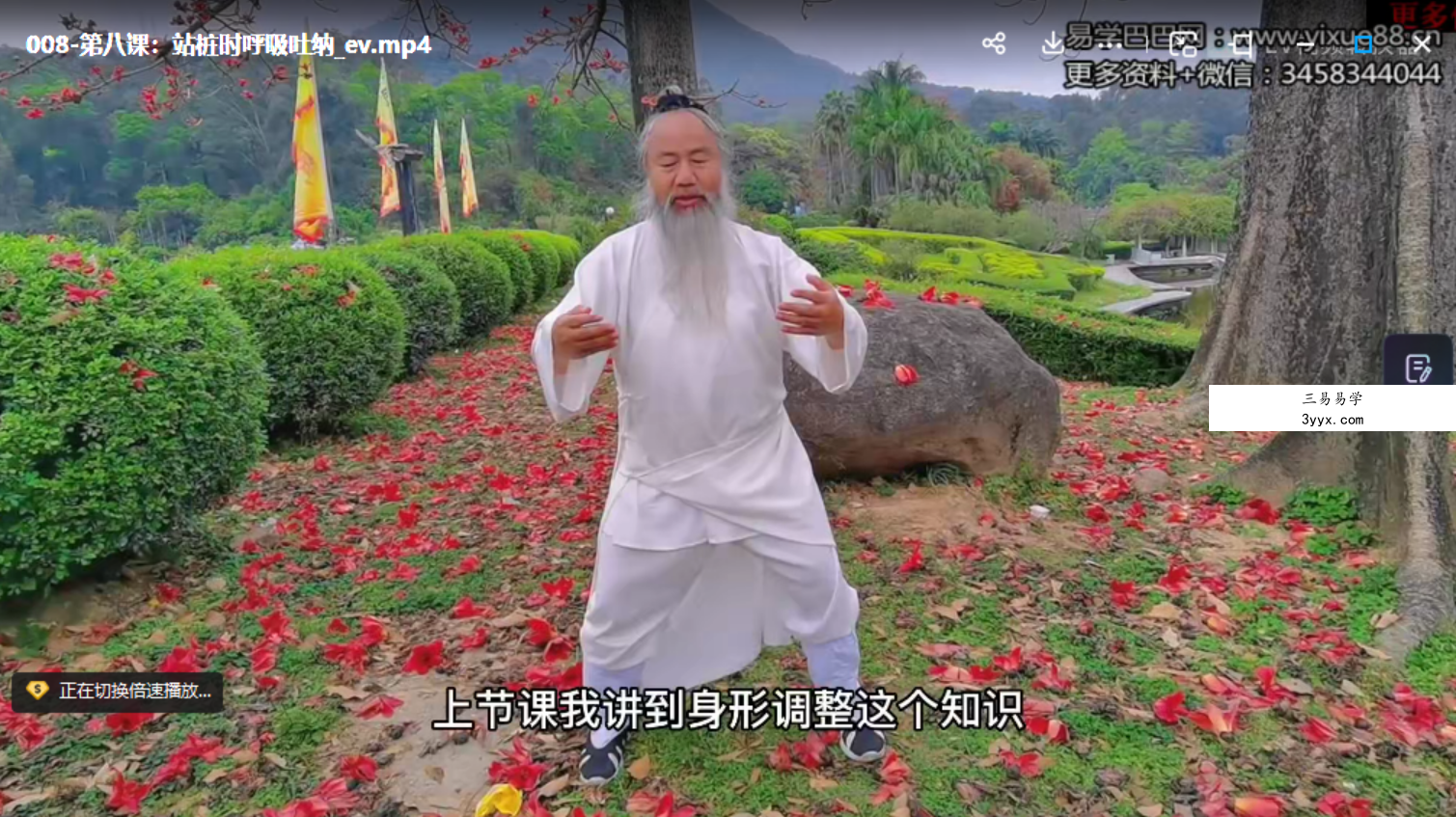 长安师智-道家混元桩详细系统教学10课时 资料图片