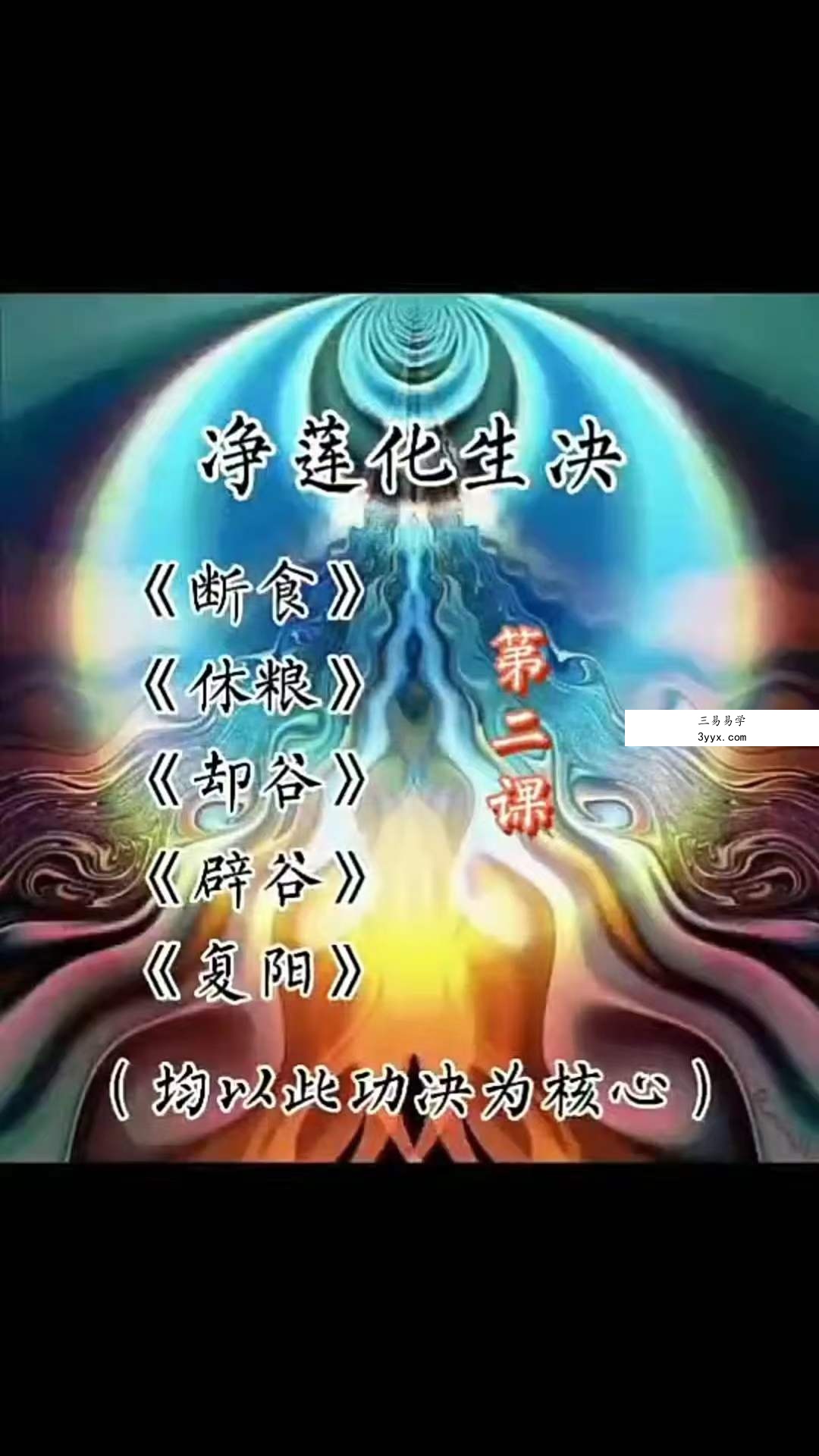 辟谷功《净莲化生诀》 资料图片