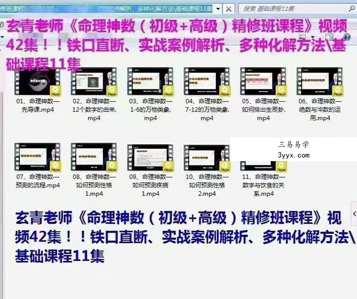 玄青老师命理神数(初级+高级)42集 资料图片