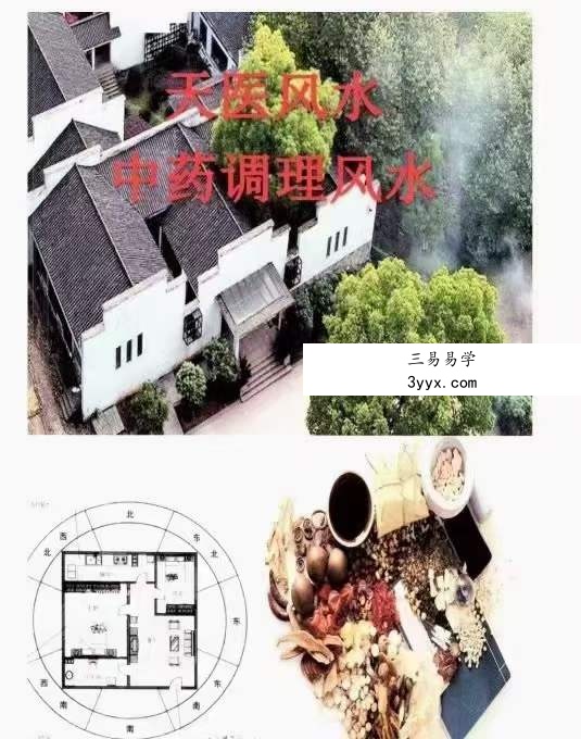 飞鱼 阳宅风水景物断《中草药布局 调理风水 天医风水》 百度网盘下载 资料图片