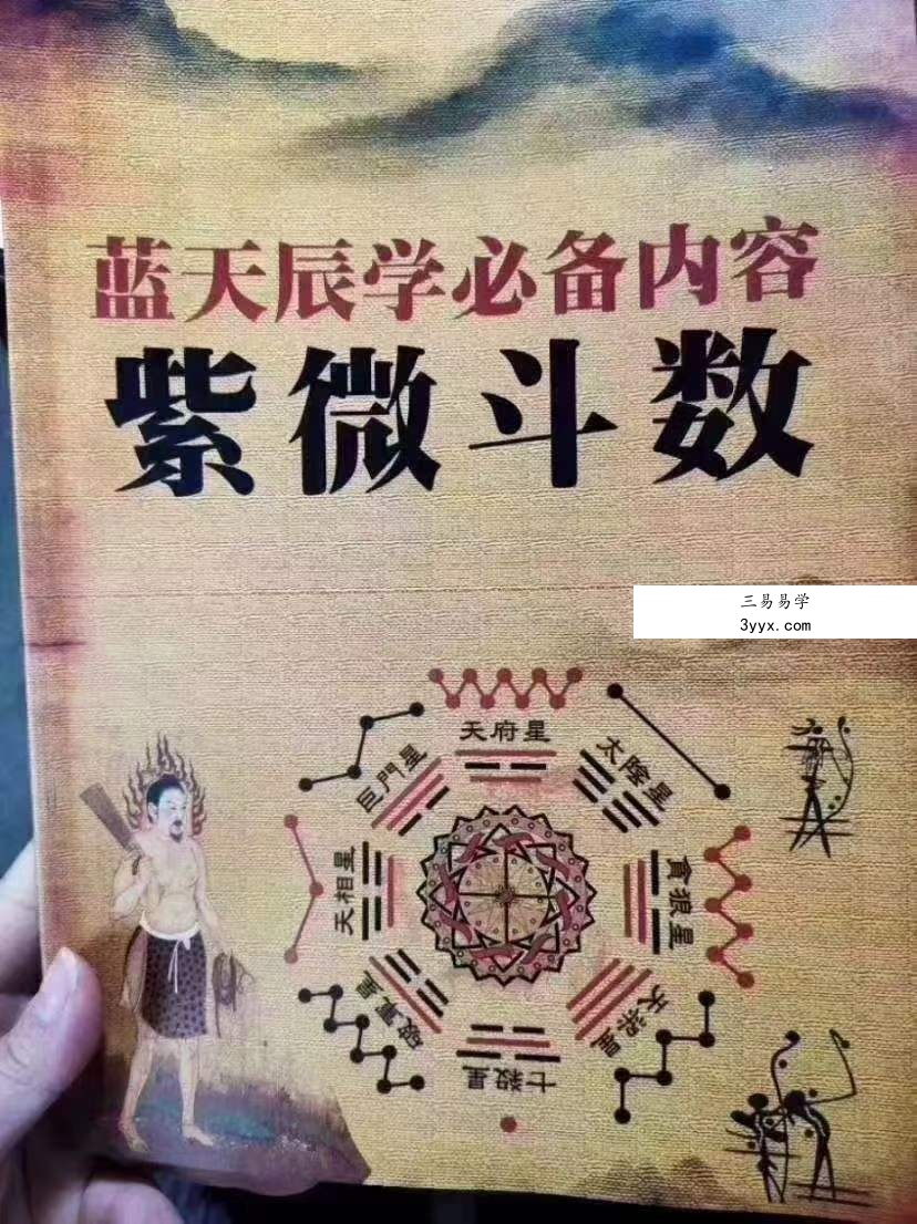 蓝天辰紫薇斗数六本书籍 电子文档 百度网盘下载 资料图片