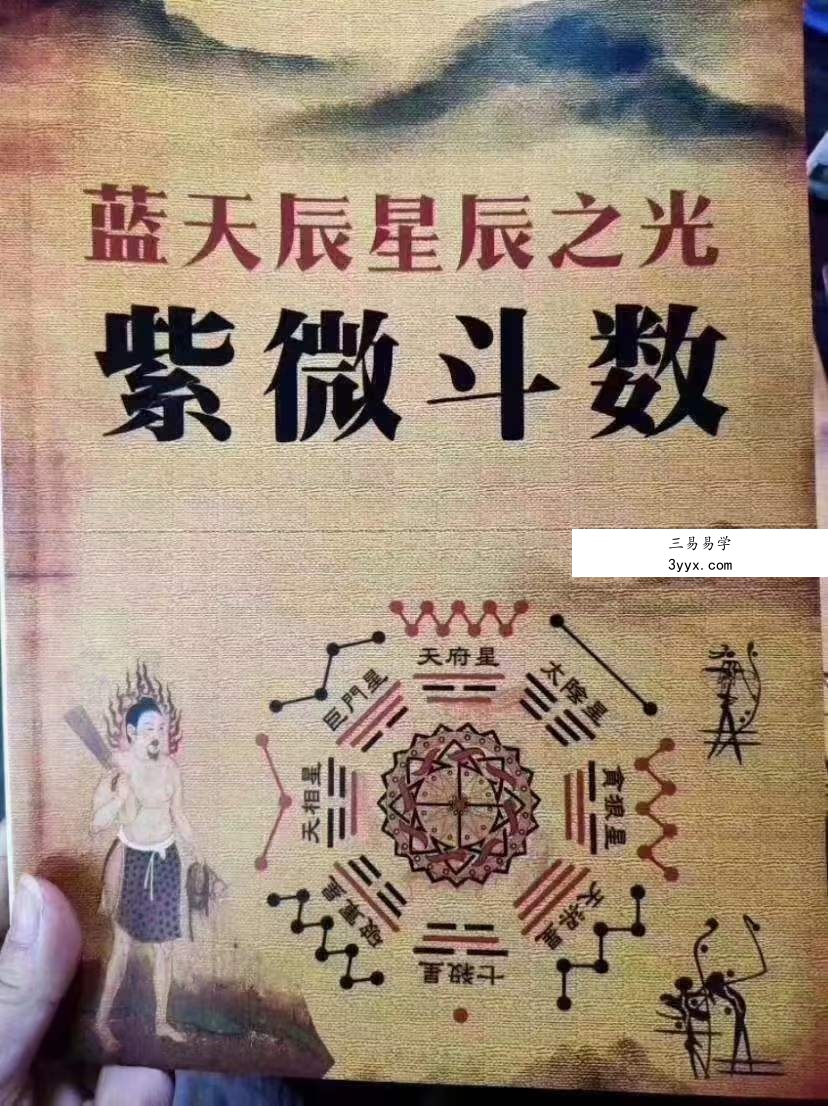 蓝天辰紫薇斗数六本书籍 电子文档 百度网盘下载 资料图片