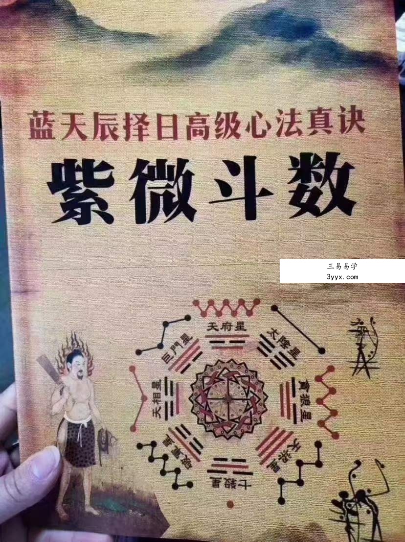 蓝天辰紫薇斗数六本书籍 电子文档 百度网盘下载 资料图片