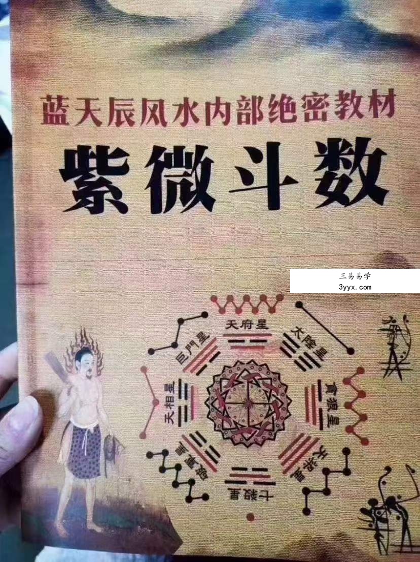蓝天辰紫薇斗数六本书籍 电子文档 百度网盘下载 资料图片