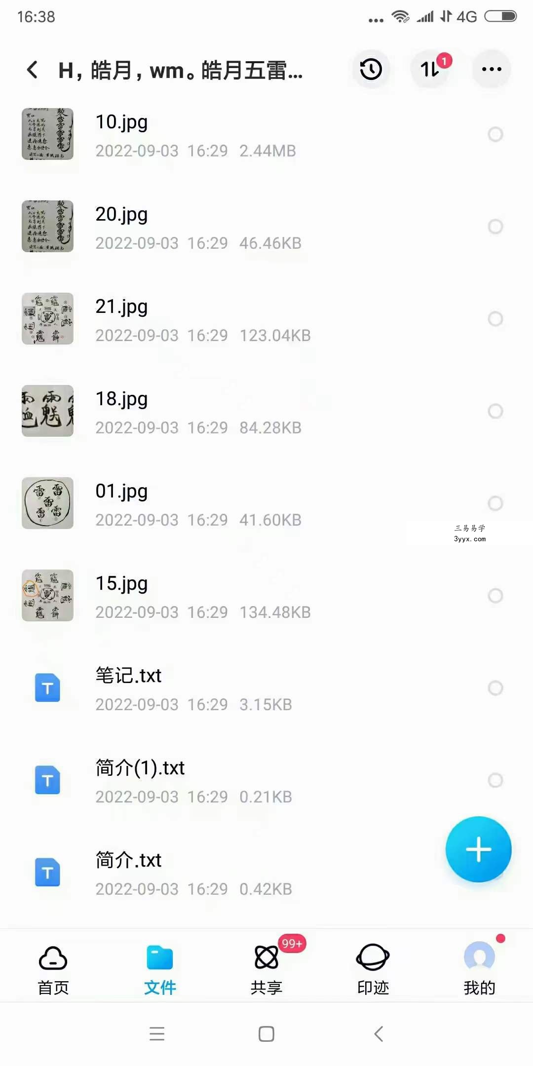 皓月五雷法五雷掌功法修炼调理程序 视频+文字+图片 百度网盘下载 资料图片