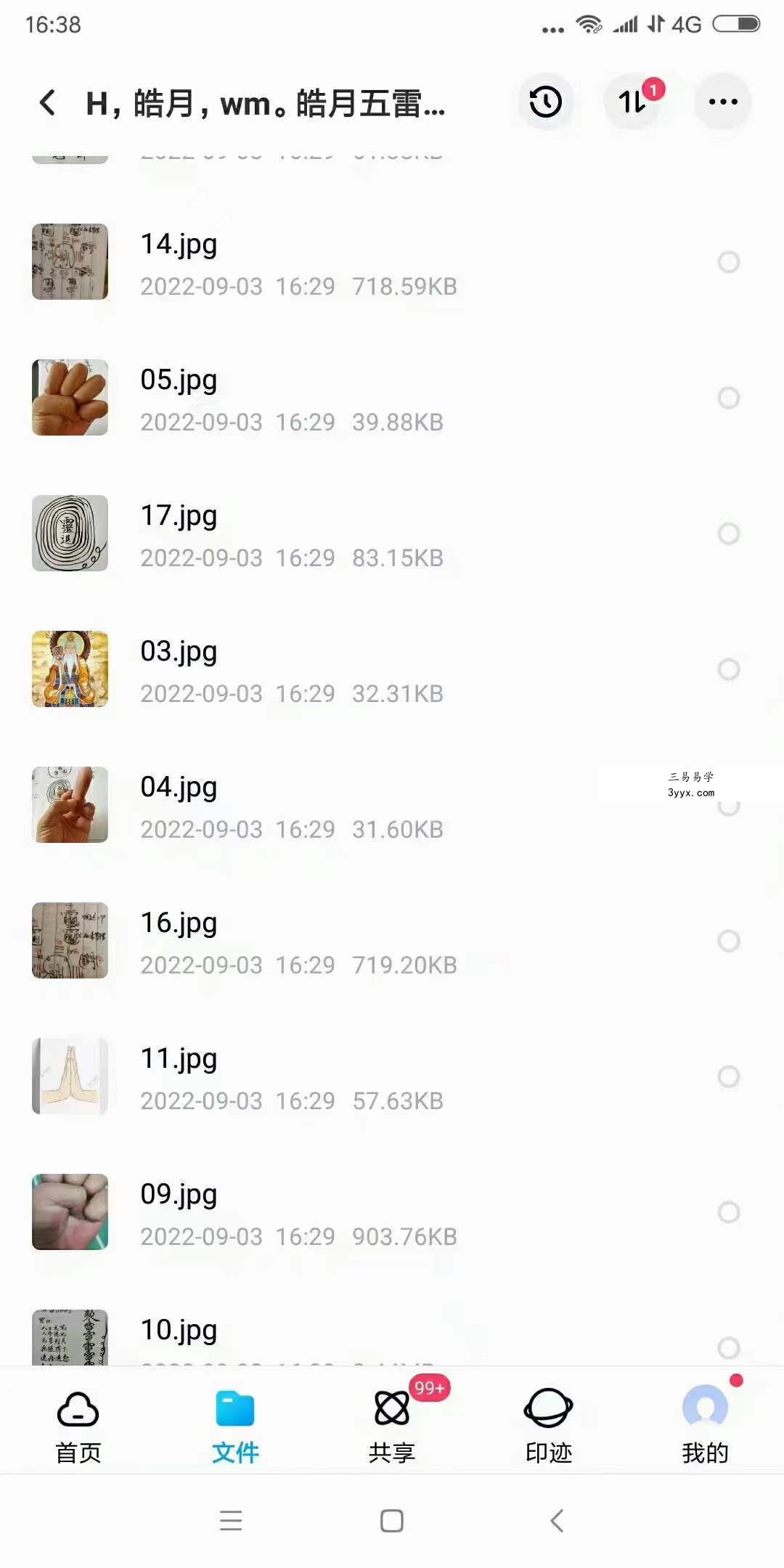 皓月五雷法五雷掌功法修炼调理程序 视频+文字+图片 百度网盘下载 资料图片