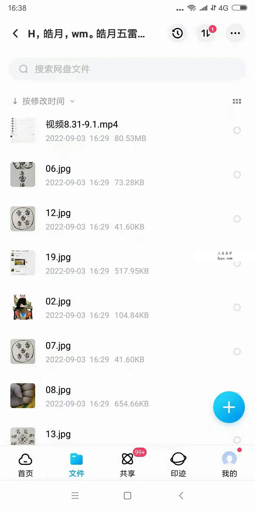 皓月五雷法五雷掌功法修炼调理程序 视频+文字+图片 百度网盘下载 资料图片