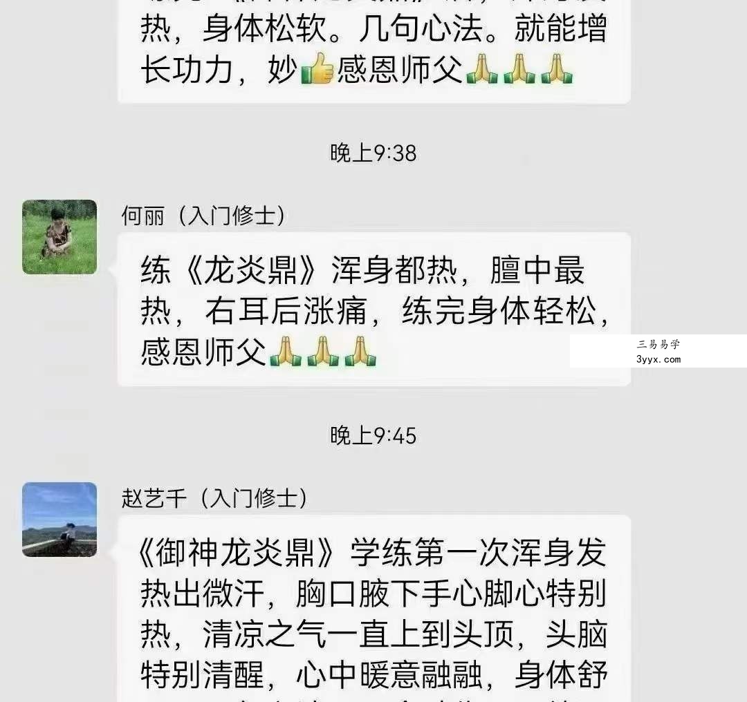 【洞玄师道传承】御神龙炎鼎 百度网盘下载 资料图片