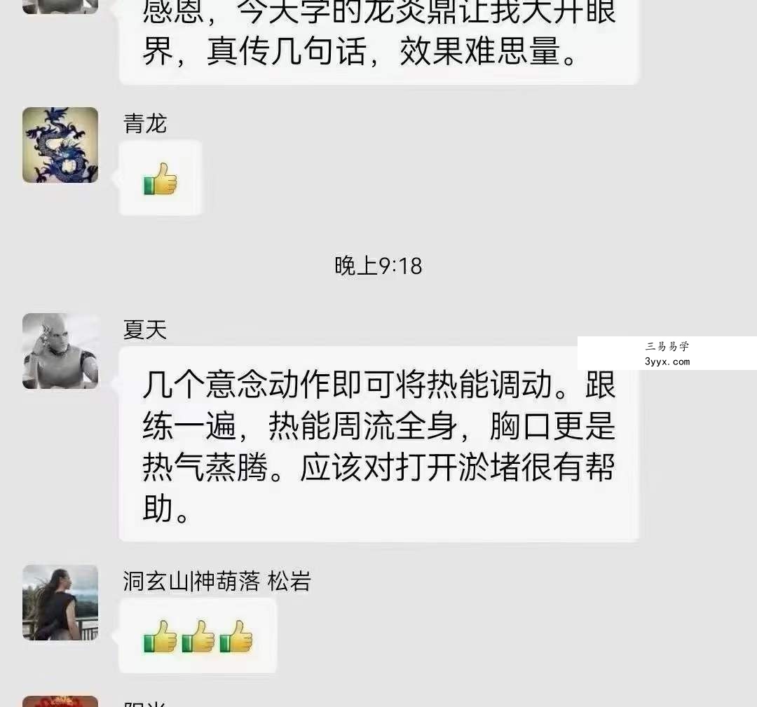 【洞玄师道传承】御神龙炎鼎 百度网盘下载 资料图片