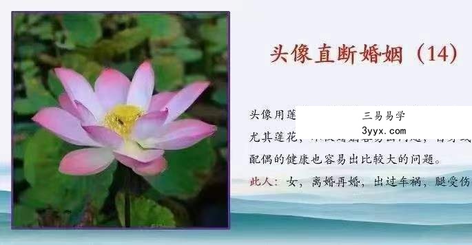拂尘子 妙断微信头像直断财运、健康、婚姻、性格视频4集 百度网盘下载 资料图片