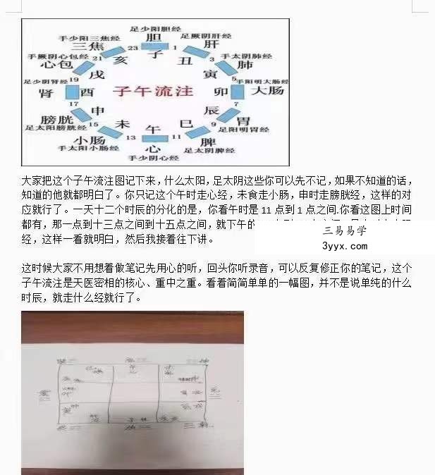 凤麟宗 天医密相 百度网盘下载 资料图片