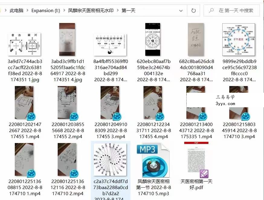 凤麟宗 天医密相 百度网盘下载 资料图片