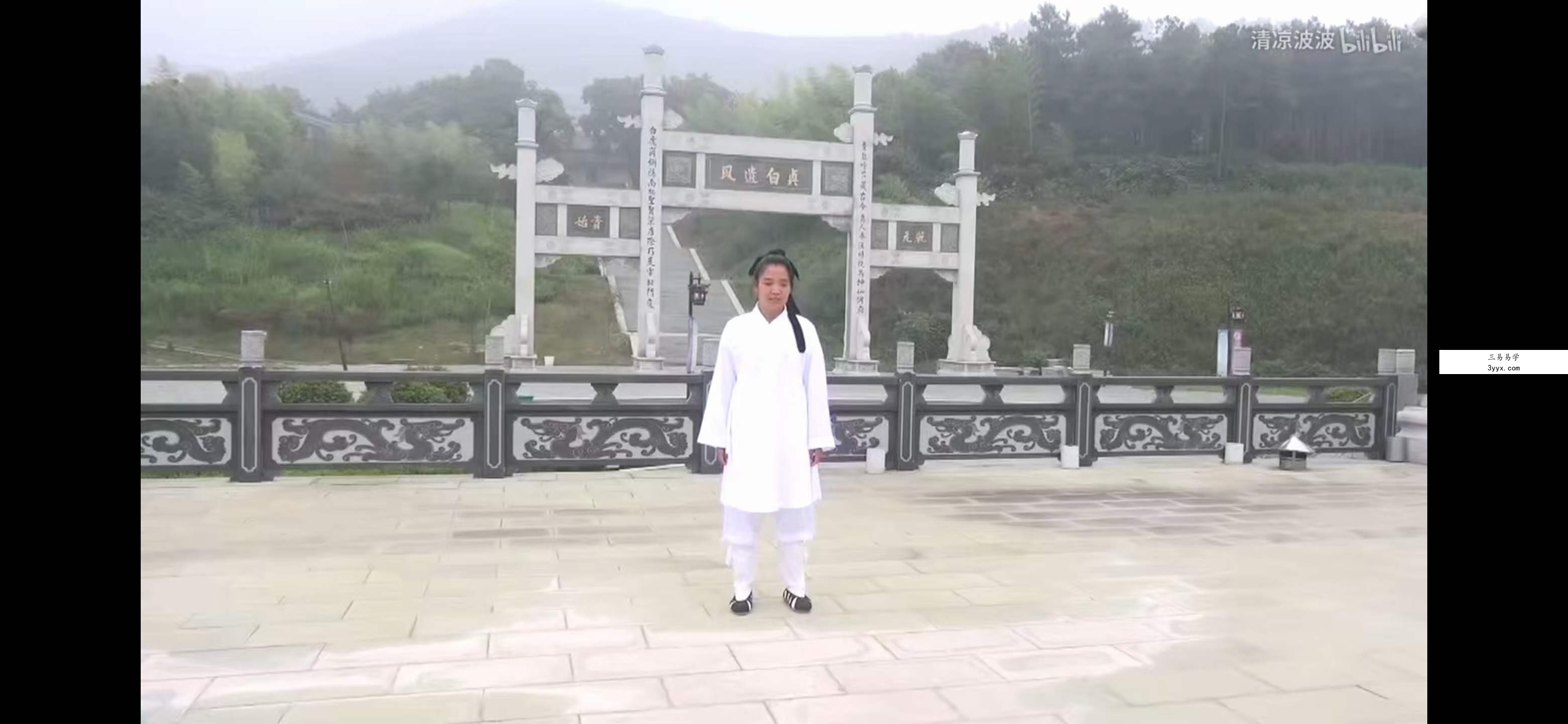 龙门天成-三九合一功 百度网盘下载 资料图片