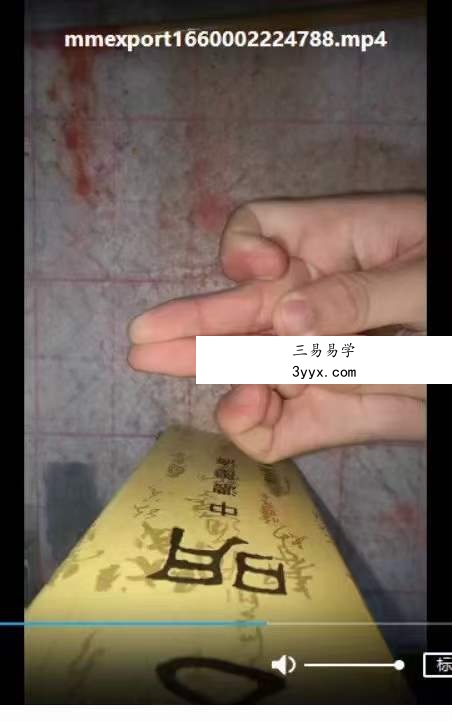 天师府家传元帅符（紫宸） 百度网盘下载 资料图片
