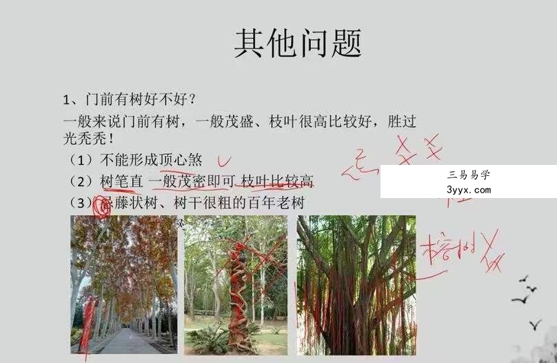 道易网络课堂《商铺门店商业风水》23集 百度网盘下载 资料图片