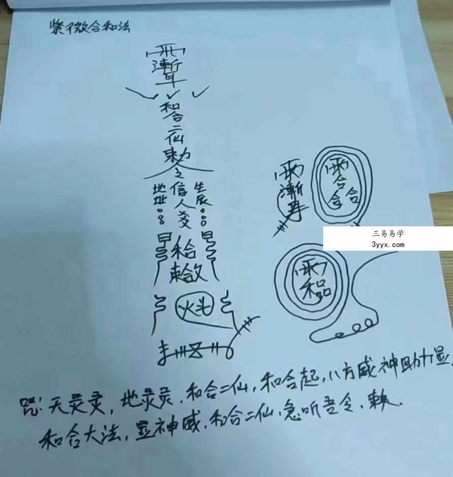 王法灵紫薇法(雨渐耳)道家隐秘秘法 百度网盘下载 资料图片