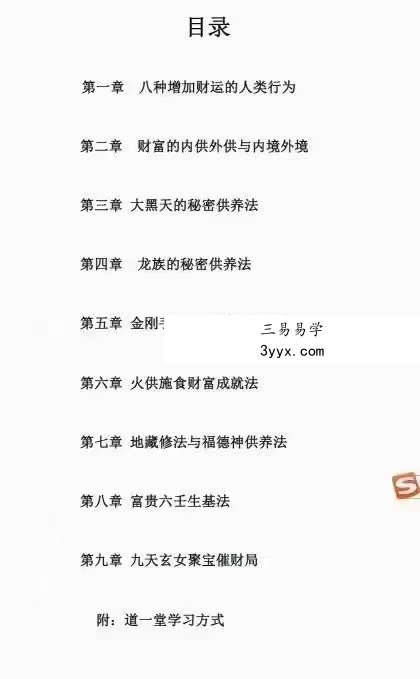 2021年 申高源《财富能量大道》39页申高源:火供施食财富成就法《财富能量大道(普及版)》 资料图片