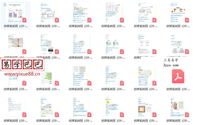 依婷2019年紫薇斗数课程39册讲义 资料图片