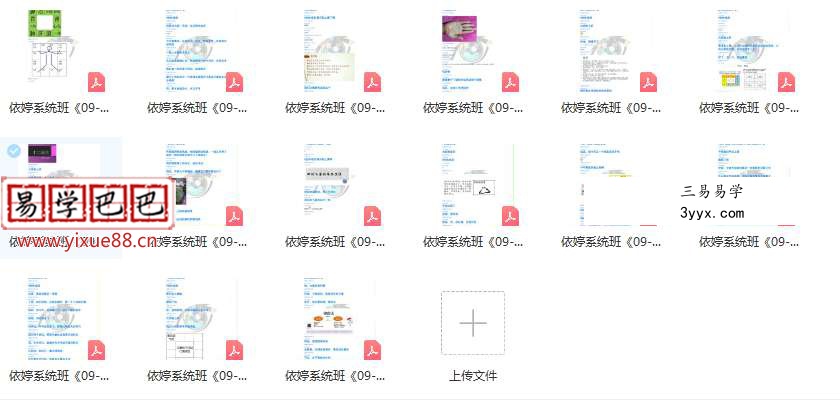 依婷2019年紫薇斗数课程39册讲义 资料图片
