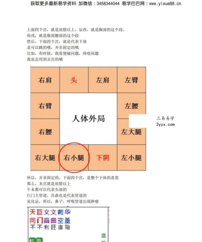 依婷紫微2021最新斗数论疾厄资料+答疑 资料图片