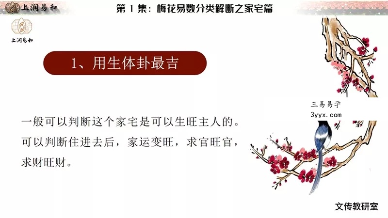 徐炳昕梅花易数中级班12集 资料图片