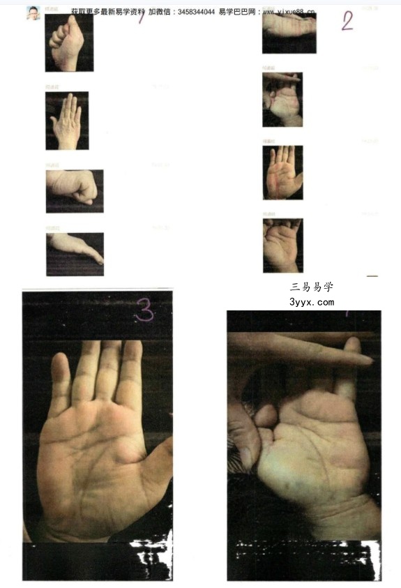 何道旺《相法培训班典型案例 一二 》168页pdf 百度云下载! 资料图片