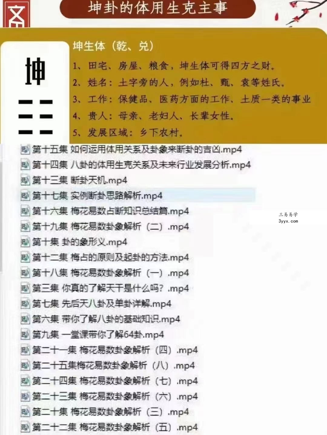 徐丙昕梅花易数入门视频26集 资料图片