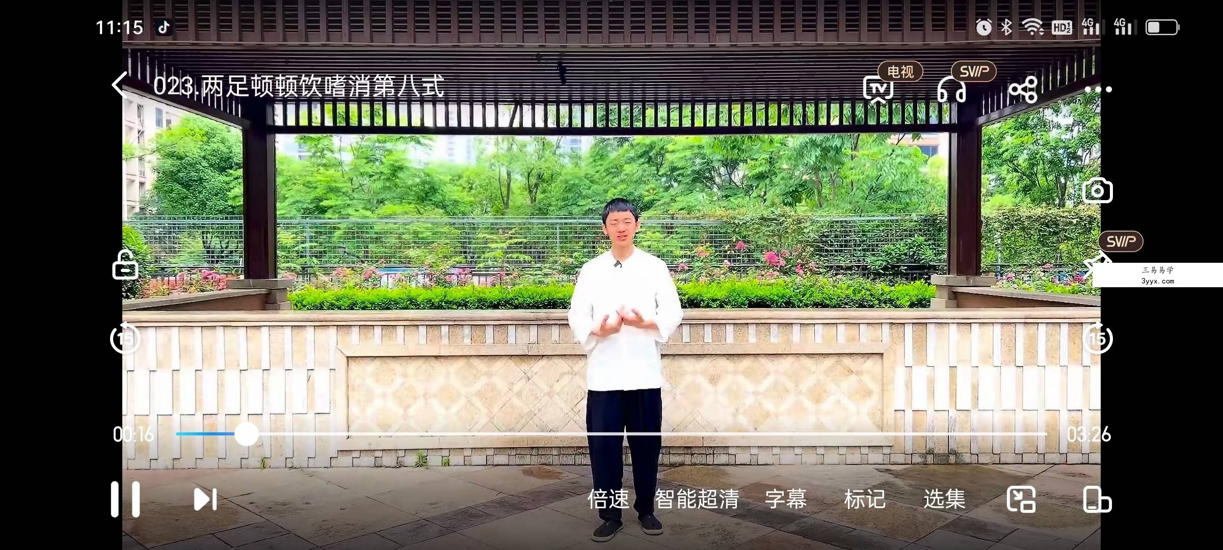内传八部金刚功详细精讲28集教学 资料图片